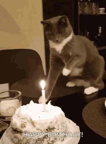 Put Out The Candle Put It Out GIF
