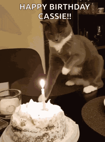 Put Out The Candle Put It Out GIF