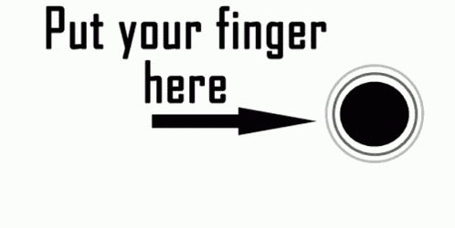 Put Your Finger Dog GIF