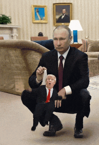 Putin Putin Laughing GIF