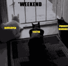 Qa Meme GIF