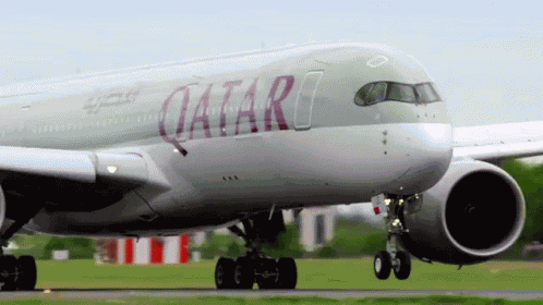 Qatar Qatarairways GIF