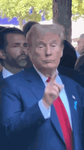 Qeqe Trump GIF
