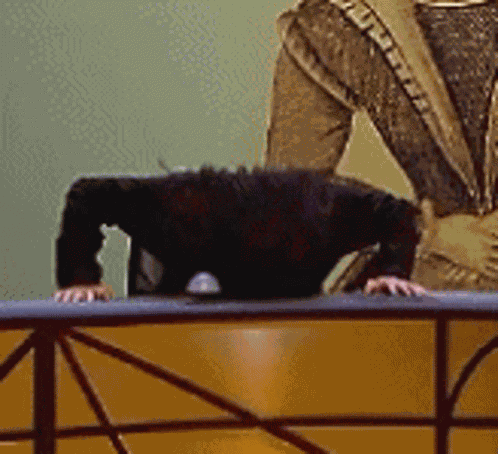 Qi Bang Head On Desk GIF