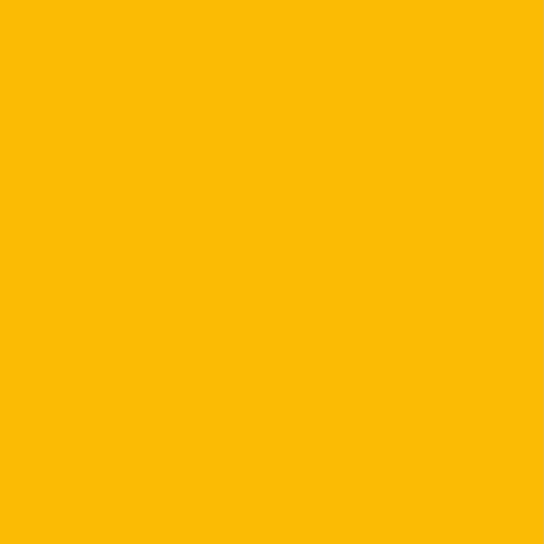 Quack Quack Meme Quacks Collection GIF