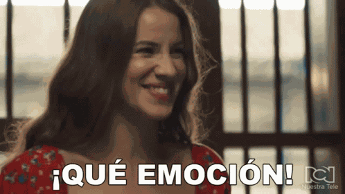 Que Emocion Gaviota GIF