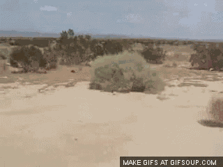 Quiet Desert GIF