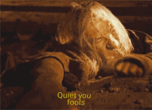 Quiet You Fools Lotr GIF