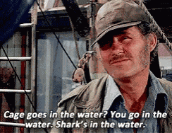 Quint Jaws GIF