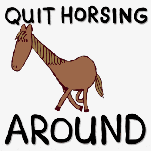 Quite Horsing Around Stop Horsing Around GIF