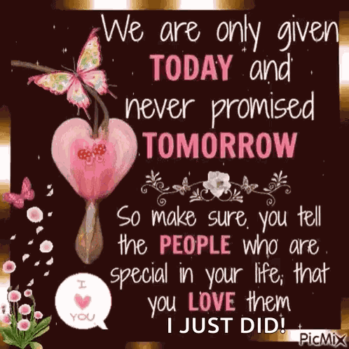 Quotes Today GIF
