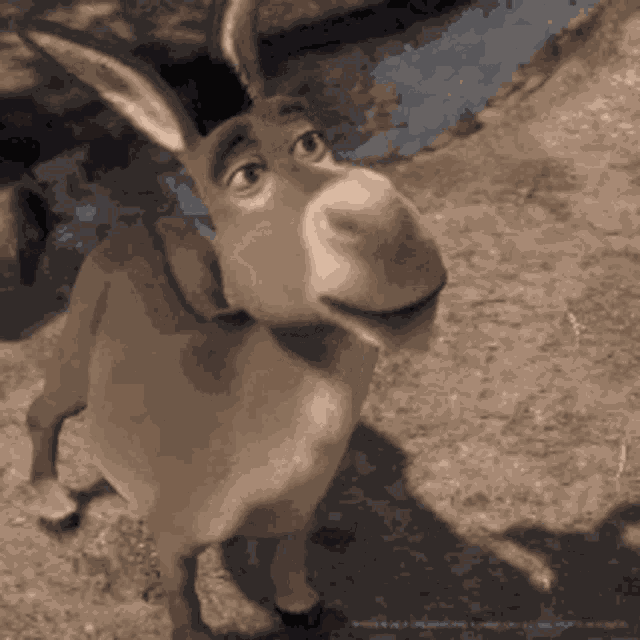 R4ymo GIF