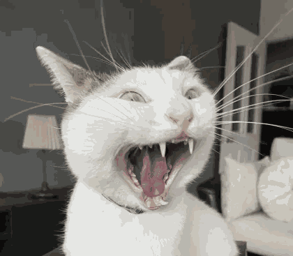 Raaa Scream GIF