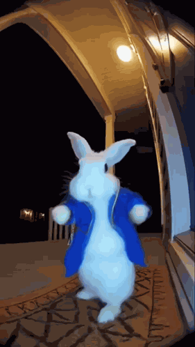 Rabbit Clock Clock Rabbit GIF