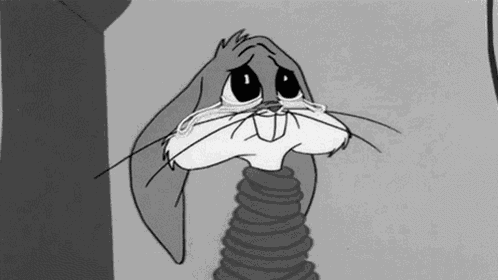 Rabbit Cry GIF