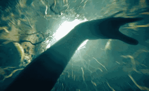 Rabbit Hole Mjc GIF