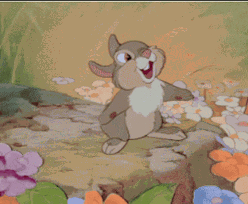 Rabbit Lol GIF