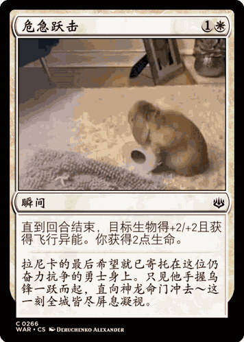 Rabbit Magic The Gathering GIF