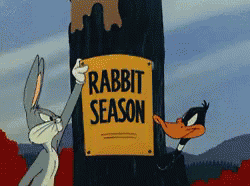 Rabbit Season, Duck Season GIF