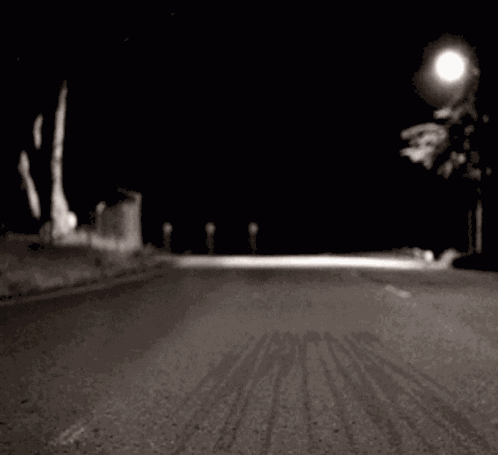 Raccoon Cane GIF