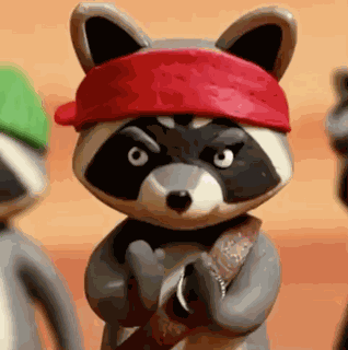 Raccoon Raccoons GIF