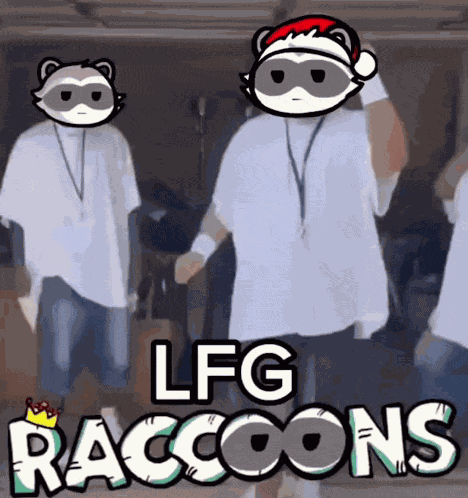 Racon Raccoons GIF