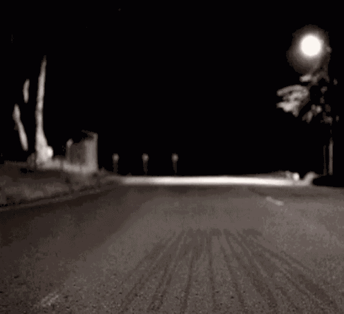 Racoon Dance Cane Dance GIF