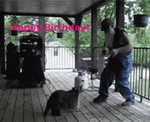 Racoon Happy GIF