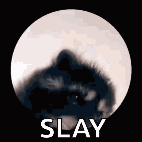 Racoon Raccoon GIF