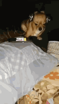 Radiohead Dog GIF