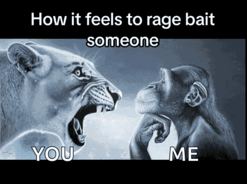 Rage Ragebait Meme