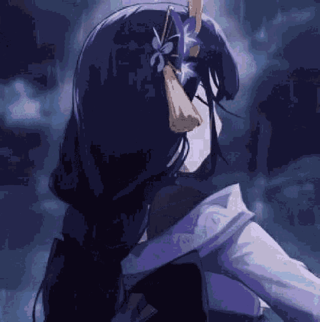 Raiden Shogun Raiden GIF