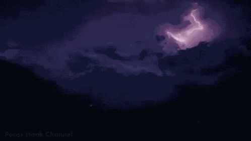 Raiden Shogun Thunder Banner Discord GIF