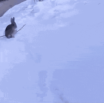 Railway Tamping Machine Thumper GIF