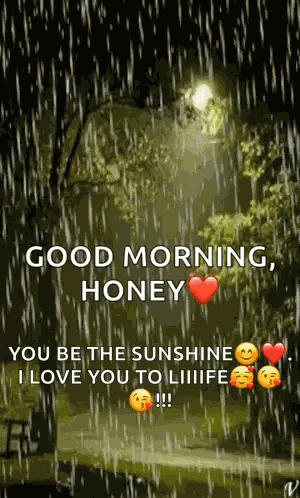 Rain Lights GIF