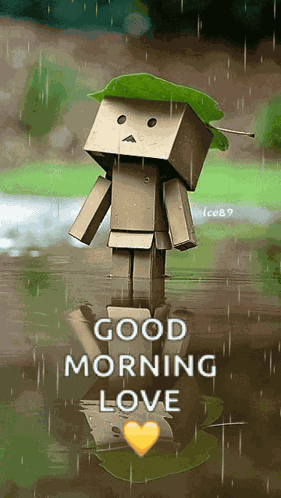 Rain Raining GIF