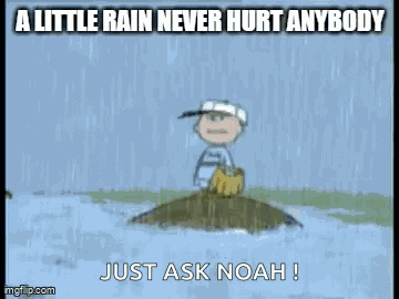 Rain Rainy Day GIF