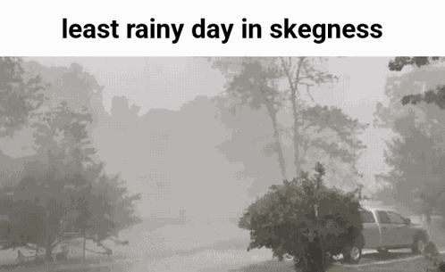 Rain Rainy GIF