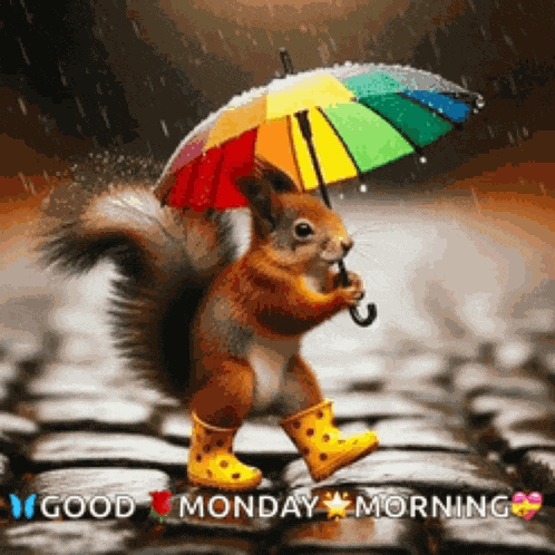 Rainbow Squirrel Meme