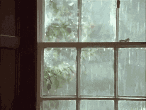 Raining Its Raining GIF