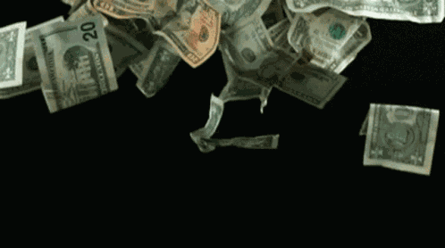 Raining Money Money GIF