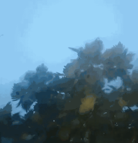 Raining Saigonrain GIF