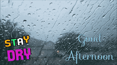 Rainy Day GIF