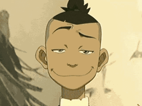 Raise Eyebrows Sokka GIF