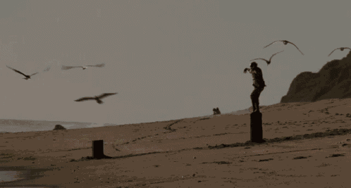Ralph Macchio Daniel Larusso GIF