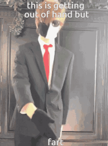Ranboo Fart GIF