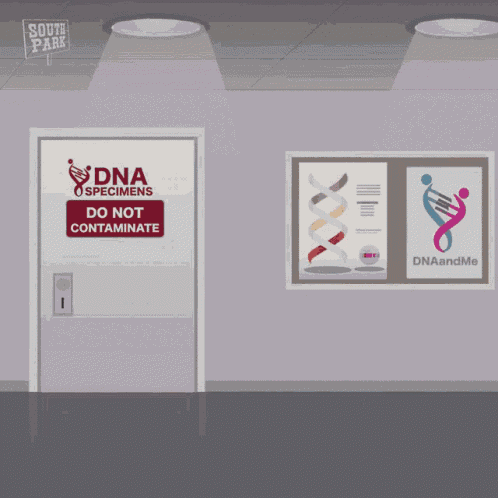Randy Marsh Marsh GIF