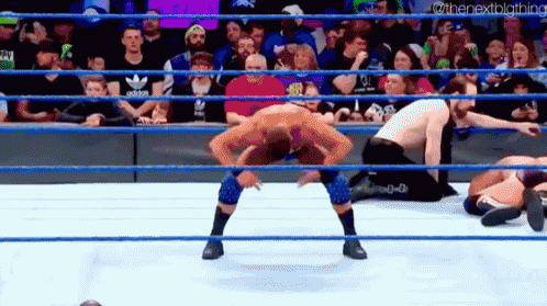 Randy Orton Rko GIF