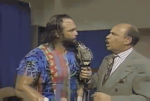 Randy Savage Correct GIF
