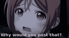 Rapidtulip647 Rt6 GIF